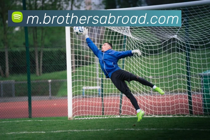 登录器